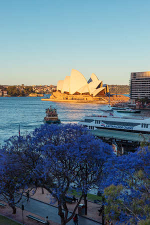 Sydney, Australia - November 10, 2019: Sydney Opera House view with Jacaranda on the foreground.のeditorial素材