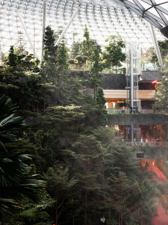 Singapore - February 6, 2020: Sunlight over the plant at the side of Jewel Changi Airport.のeditorial素材
