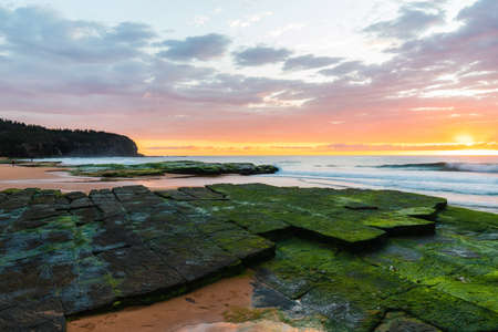 Mossy rocks at Turimetta Beach, Sydney during sunrise time.の写真素材