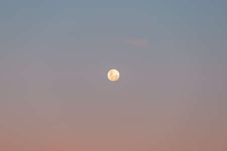Full moon on dusk sky.の写真素材