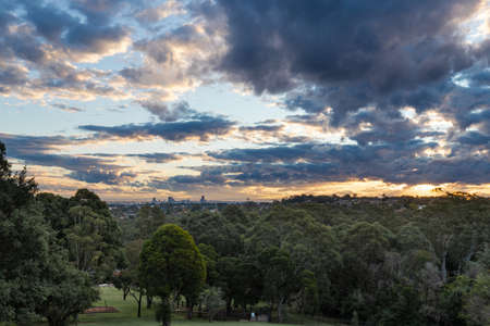 Trees, city at the distance, and sunset sky.の写真素材