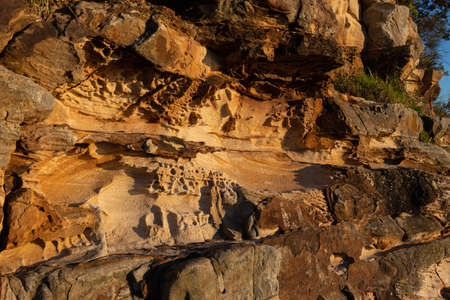 Close-up view of rock texture.