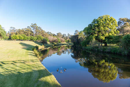 Parramatta River along Parramatta Park in the morning.
