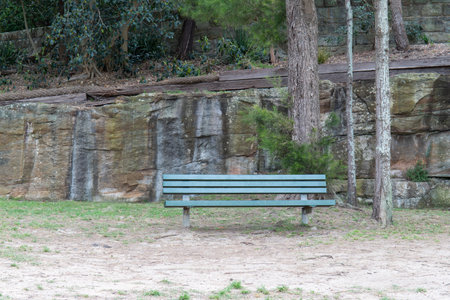 An empty green bench in the park.の写真素材