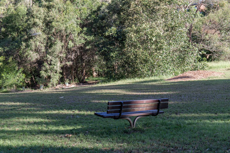 An empty bench in the park.の写真素材