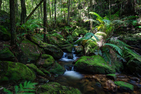 Green rocky moss with small creek in the middle.