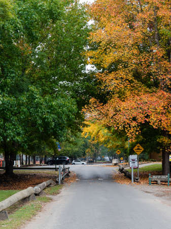 Sydney, Australia - May 1, 2021: Two car parks under the tree at the park.のeditorial素材