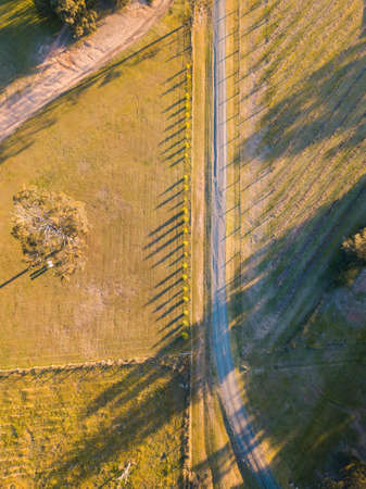 Top down aerial view of road with trees on its side.の写真素材