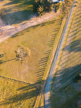 Top down aerial view of road with trees on its side.の写真素材