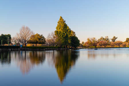 Green tree and dry tree reflection on the lake.の写真素材