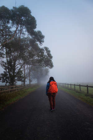 Sydney, Australia - May 23, 2021: A person walking alone on the road in the foggy morning.のeditorial素材