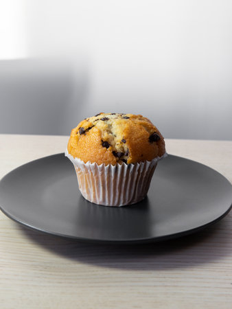 A small plate of chocolate chip muffin.の写真素材