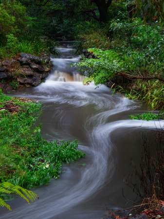 Small creek with strong water flow after the rain.