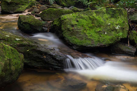 Flowing water in the creek between mossy rocks.