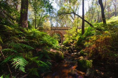 Lennox Bridge with the surrounding environment, Sydney, Australia.の写真素材