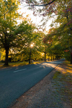 Morning autumn sunlight on the road.の写真素材