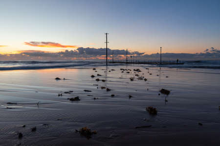 Seaweed and sand pattern in the morning at Mona Vale Beach, Sydney, Australia.の写真素材