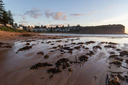 Basin Beach coastline with seaweed around, Sydney, Australia.の写真素材