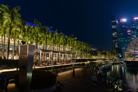 Singapore - May 21, 2022: Palm tree around Marina Bay Sands area.のeditorial素材