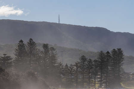 Layer of tree and mountains with clear sky.の写真素材