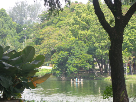 The Lakeの写真素材