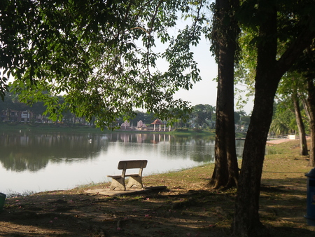 bench near lakeの写真素材