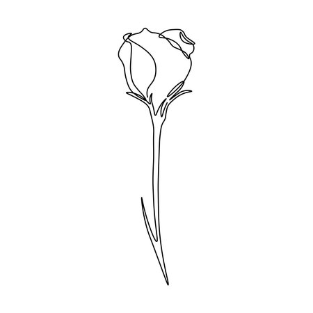 Flowers one line art. Lisianthus one line drawing. minimalist art.のイラスト素材