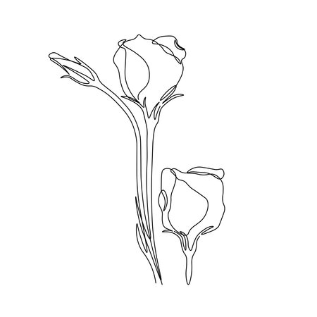 Flowers one line art. Lisianthus one line drawing. minimalist art.のイラスト素材