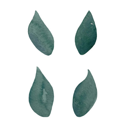 Watercolor designer elements set collection of green leaves, greenery art foliage natural leaves herbs in watercolor style. Decorative beauty elegant illustration for designの写真素材