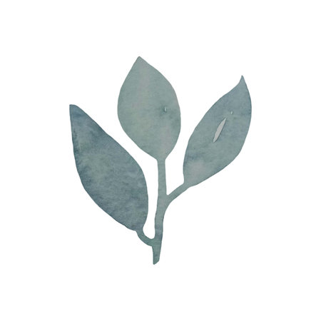 Watercolor designer elements set collection of green leaves, greenery art foliage natural leaves herbs in watercolor style. Decorative beauty elegant illustration for designの写真素材