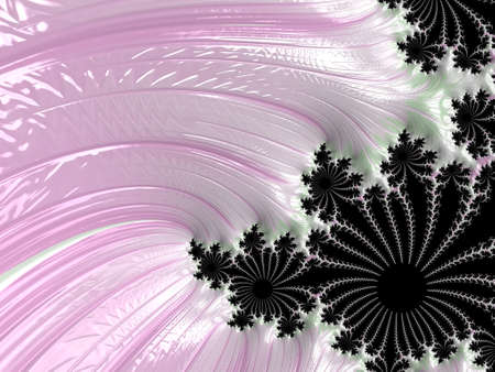 Created using shells. Feel free on the seaの写真素材