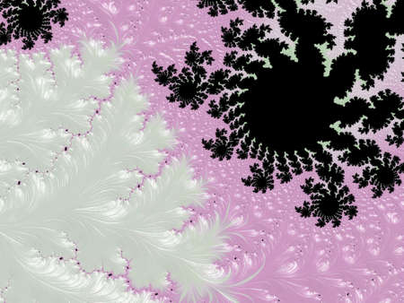 Created using shells. Feel free on the seaの写真素材