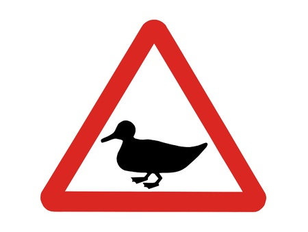 A Roadside Traffic Warning Sign for Ducks.の写真素材
