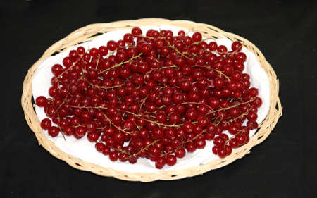 A Display Basket Holding some Red Lake Redcurrants.