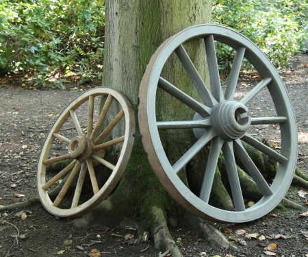 Two Traditional Wooden Cart Wheels Leaning on a Tree 
