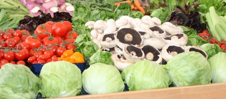 A Bright Display of Fresh and Healthy Vegetables.の写真素材