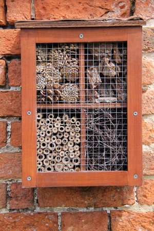 A Garden Designed Home for Small Insects and Bees の写真素材