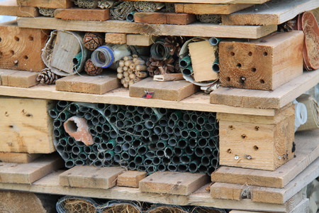 A Wild Animal Shelter Built from Recycled Materials.の写真素材