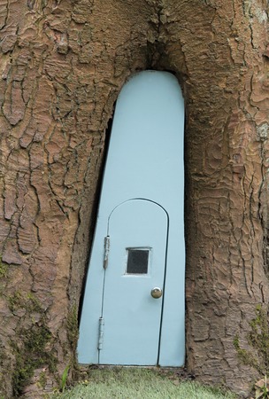 A Slim Blue Wooden Fairy Door in a Tree Trunk.の写真素材
