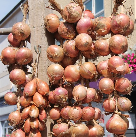 A Display of Onions Outside a Greengrocers Shop.の写真素材