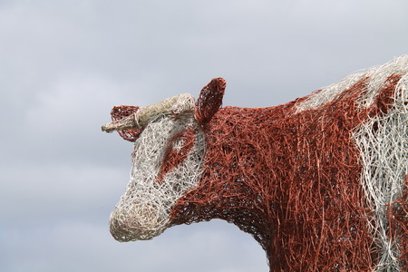 A Metal Frame Sculpture of a Farm Bull Animal.の写真素材