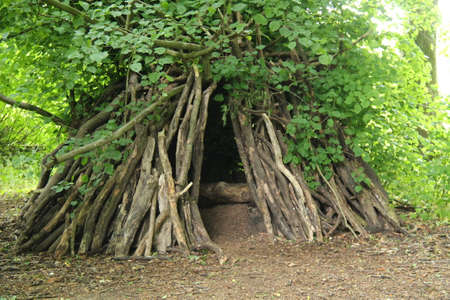 A Woodland Shelter Built Around a Mature Forest Tree.