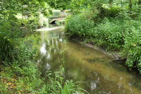A Flint Stone Bridge Over a Small Woodland River.の写真素材