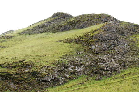 A Single Dead Tree on a Barren Rocky Mountain Hillside.