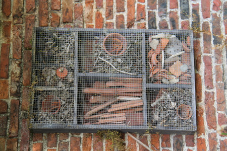 A Wall Mounted Animal Bug House with Various Materials.
