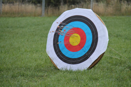 A Circular Archery Target with Many Arrows in it.の写真素材