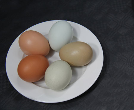 Five New Laid Different Coloured Farm Chicken Eggs.