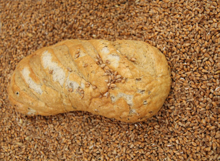A Loaf of Bread Laying on a Bed of Milling Wheat.の写真素材