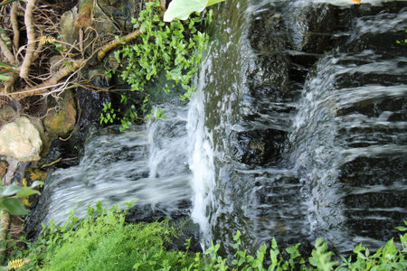 A Stepped Waterfall on a Woodland Stream.