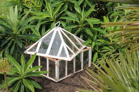 A Vintage Victorian Square Lantern Garden Cloche.の写真素材
